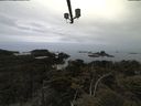 ./images/calvert/lookout/20210529/lookout20210529_202502.jpg