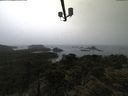./images/calvert/lookout/20210530/lookout20210530_061002.jpg