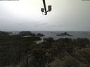 ./images/calvert/lookout/20210530/lookout20210530_085501.jpg