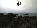 ./images/calvert/lookout/20210530/lookout20210530_101501.jpg