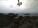 ./images/calvert/lookout/20210530/lookout20210530_102501.jpg