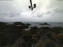 ./images/calvert/lookout/20210530/lookout20210530_114502.jpg