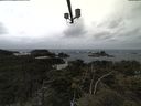 ./images/calvert/lookout/20210530/lookout20210530_124001.jpg