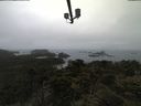 ./images/calvert/lookout/20210531/lookout20210531_081002.jpg