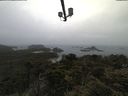 ./images/calvert/lookout/20210531/lookout20210531_082001.jpg