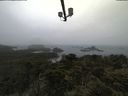 ./images/calvert/lookout/20210531/lookout20210531_082502.jpg