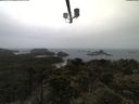 ./images/calvert/lookout/20210531/lookout20210531_085002.jpg