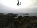 ./images/calvert/lookout/20210531/lookout20210531_091001.jpg