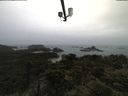 ./images/calvert/lookout/20210531/lookout20210531_091501.jpg