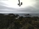 ./images/calvert/lookout/20210531/lookout20210531_094001.jpg