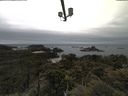 ./images/calvert/lookout/20210531/lookout20210531_111001.jpg