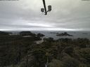 ./images/calvert/lookout/20210531/lookout20210531_111501.jpg