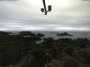 ./images/calvert/lookout/20210531/lookout20210531_112001.jpg