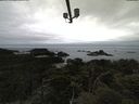 ./images/calvert/lookout/20210531/lookout20210531_115501.jpg