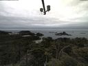./images/calvert/lookout/20210531/lookout20210531_120002.jpg