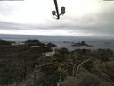 ./images/calvert/lookout/20210531/lookout20210531_122502.jpg
