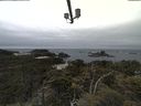 ./images/calvert/lookout/20210531/lookout20210531_124501.jpg