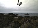 ./images/calvert/lookout/20210531/lookout20210531_125501.jpg