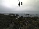 ./images/calvert/lookout/20210531/lookout20210531_151001.jpg