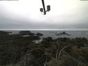 ./images/calvert/lookout/20210531/lookout20210531_151501.jpg