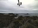 ./images/calvert/lookout/20210531/lookout20210531_155002.jpg