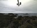 ./images/calvert/lookout/20210531/lookout20210531_160502.jpg