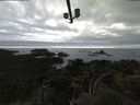 ./images/calvert/lookout/20210531/lookout20210531_173501.jpg