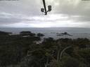 ./images/calvert/lookout/20210601/lookout20210601_052002.jpg