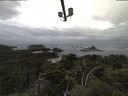 ./images/calvert/lookout/20210601/lookout20210601_092001.jpg