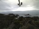 ./images/calvert/lookout/20210601/lookout20210601_100501.jpg