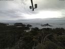 ./images/calvert/lookout/20210601/lookout20210601_101001.jpg