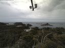 ./images/calvert/lookout/20210601/lookout20210601_112002.jpg