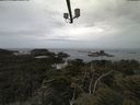 ./images/calvert/lookout/20210601/lookout20210601_112502.jpg