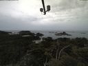 ./images/calvert/lookout/20210601/lookout20210601_113502.jpg