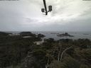 ./images/calvert/lookout/20210601/lookout20210601_115502.jpg