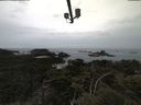 ./images/calvert/lookout/20210601/lookout20210601_121501.jpg