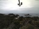 ./images/calvert/lookout/20210601/lookout20210601_122501.jpg