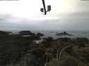 ./images/calvert/lookout/20210601/lookout20210601_123501.jpg