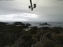 ./images/calvert/lookout/20210601/lookout20210601_132502.jpg
