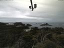 ./images/calvert/lookout/20210601/lookout20210601_135002.jpg