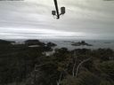 ./images/calvert/lookout/20210601/lookout20210601_140001.jpg