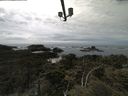./images/calvert/lookout/20210601/lookout20210601_144501.jpg