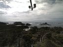 ./images/calvert/lookout/20210601/lookout20210601_151502.jpg