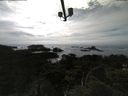 ./images/calvert/lookout/20210601/lookout20210601_163501.jpg