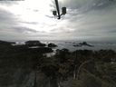 ./images/calvert/lookout/20210601/lookout20210601_164001.jpg