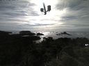 ./images/calvert/lookout/20210601/lookout20210601_174501.jpg