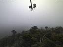 ./images/calvert/lookout/20210602/lookout20210602_051002.jpg