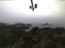 ./images/calvert/lookout/20210602/lookout20210602_052502.jpg