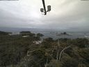 ./images/calvert/lookout/20210602/lookout20210602_081001.jpg