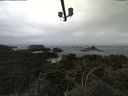 ./images/calvert/lookout/20210602/lookout20210602_102001.jpg